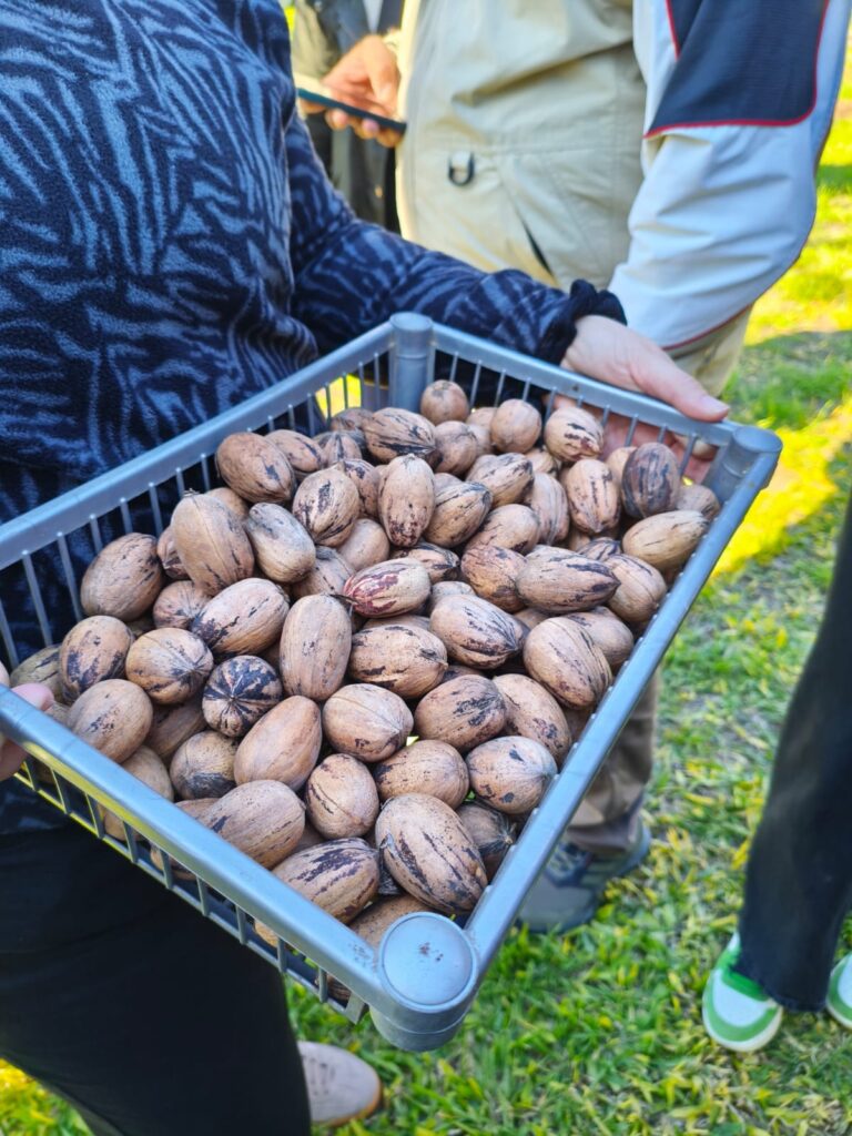 Home whatsapp image 2025 10 22 at 8.10.02 pm