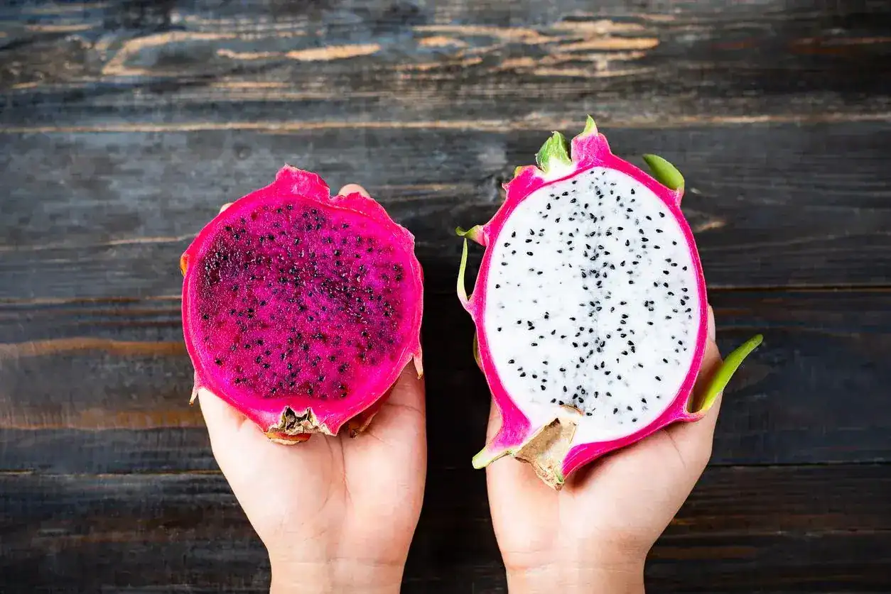 pitaya en entre rios