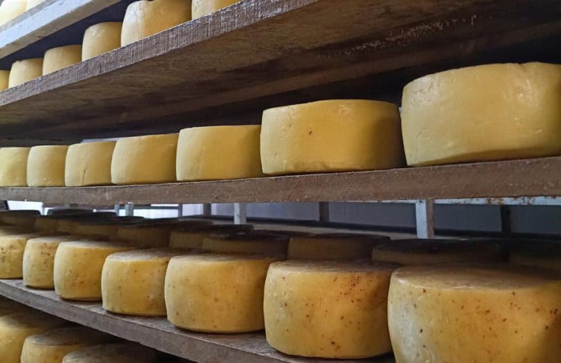 Argentina logra su primer queso con sello de origen - Injerta | Comunicación y difusión agropecuaria de Entre Ríos